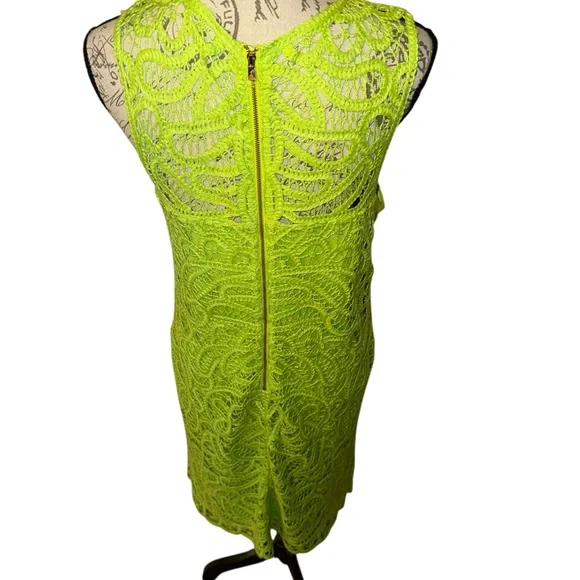 Lilly Pulitzer Siesta Shift Dress - Picture 5 of 8